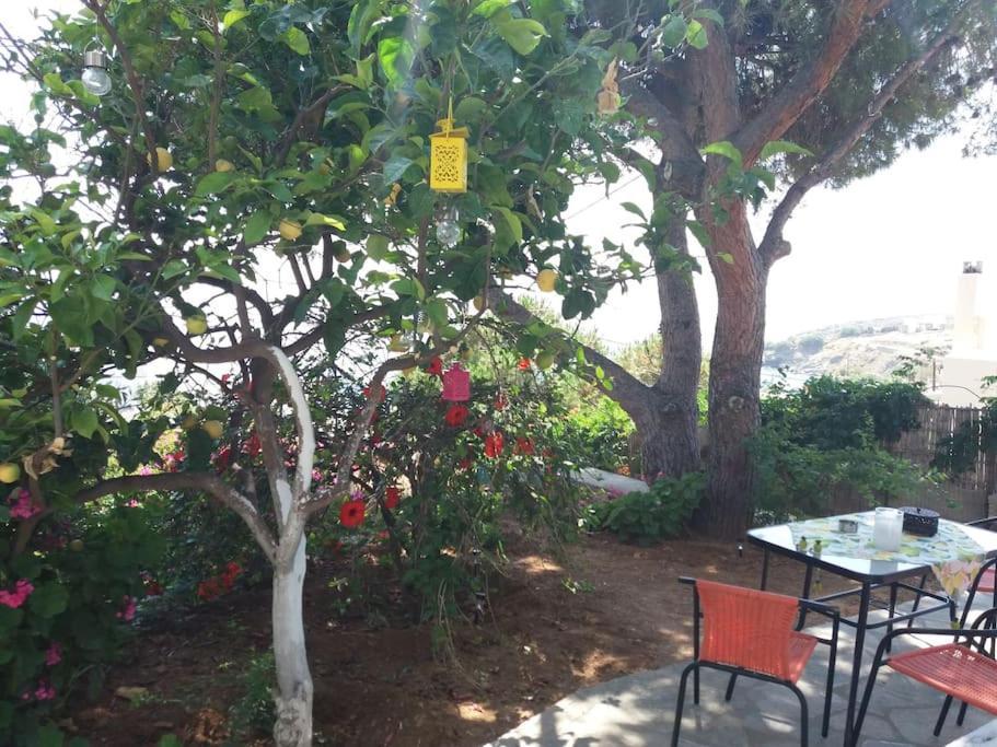 Grandpa Simos' Traditional Guest House Agios Romanos Exterior foto