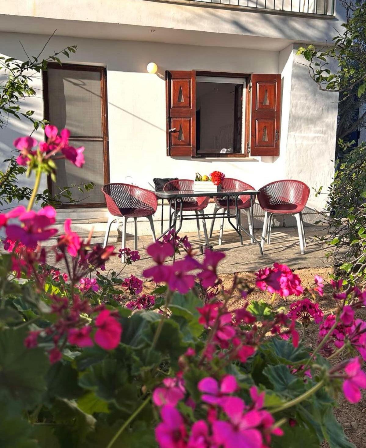 Grandpa Simos' Traditional Guest House Agios Romanos Exterior foto